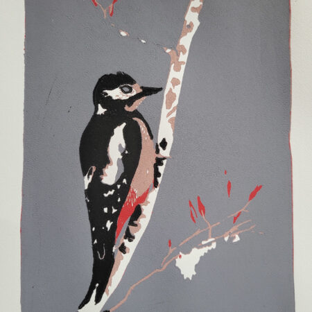 "Buntspecht im Winter" - Kunstdruck
